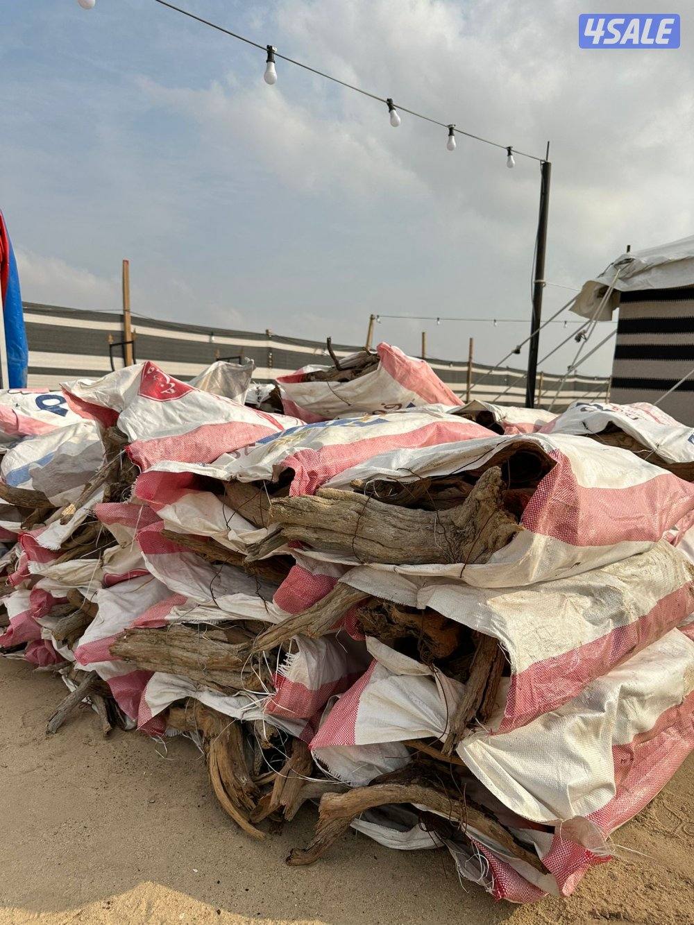 غضا ورمث سعودي2