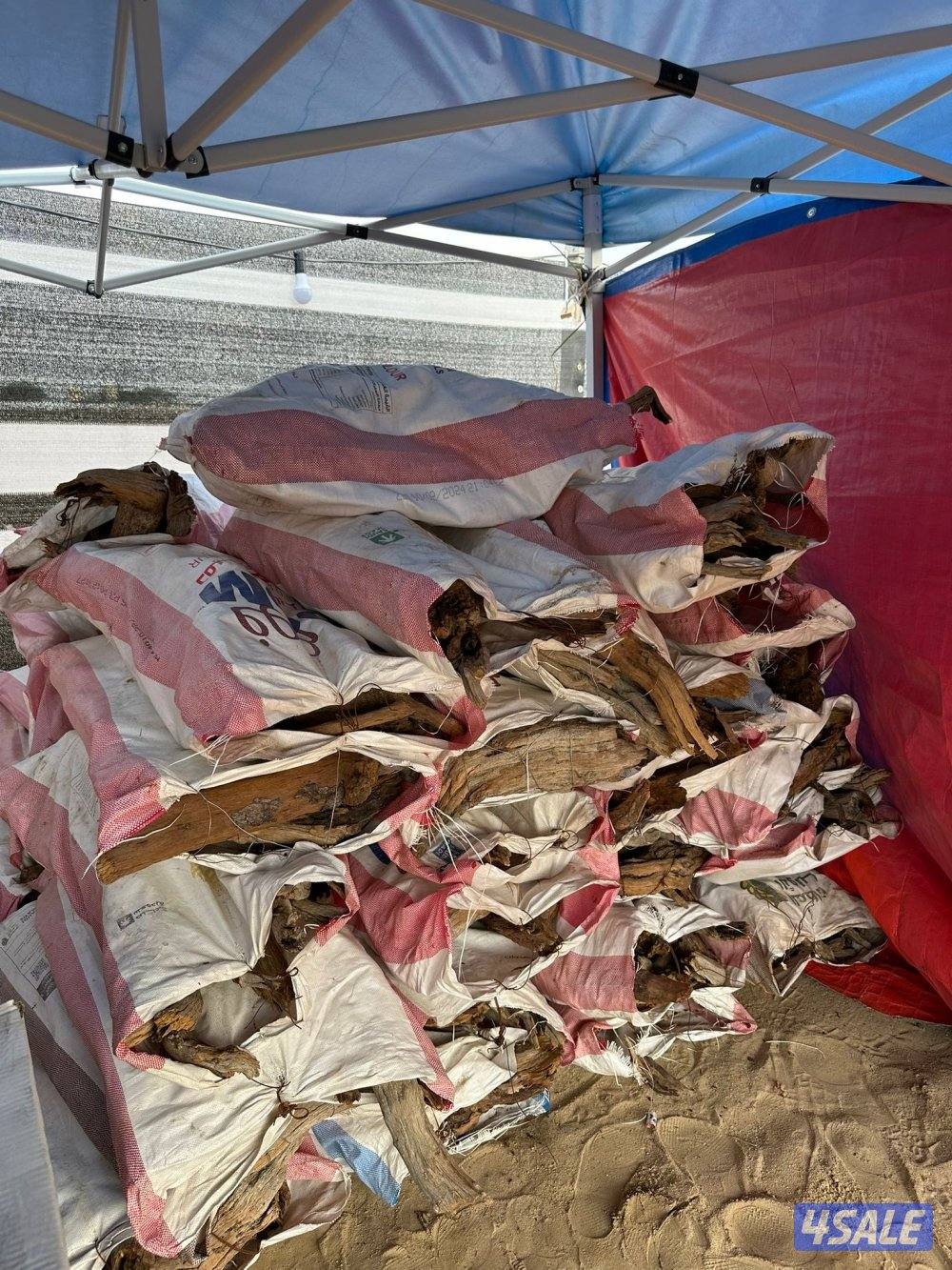 غضا ورمث سعودي3