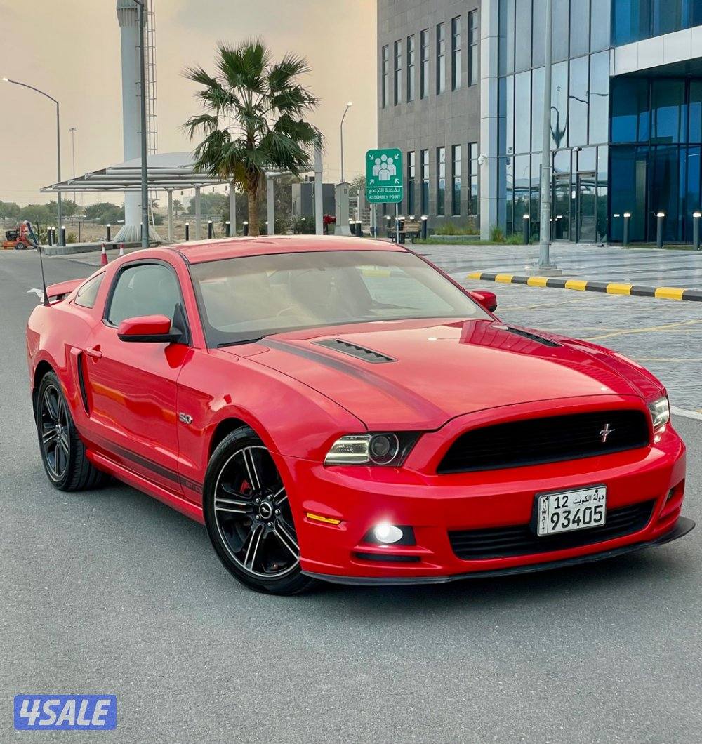 بيع سمع موستنق كالفورنيا سبيشل ٢٠١٣1