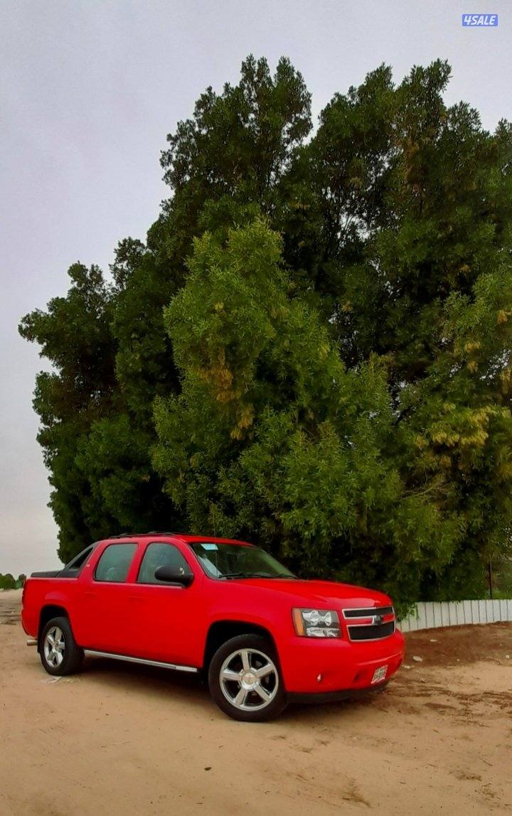 افلانش الغانم1