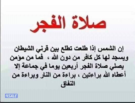 للايجار مطبخ مركزي في المرقاب0