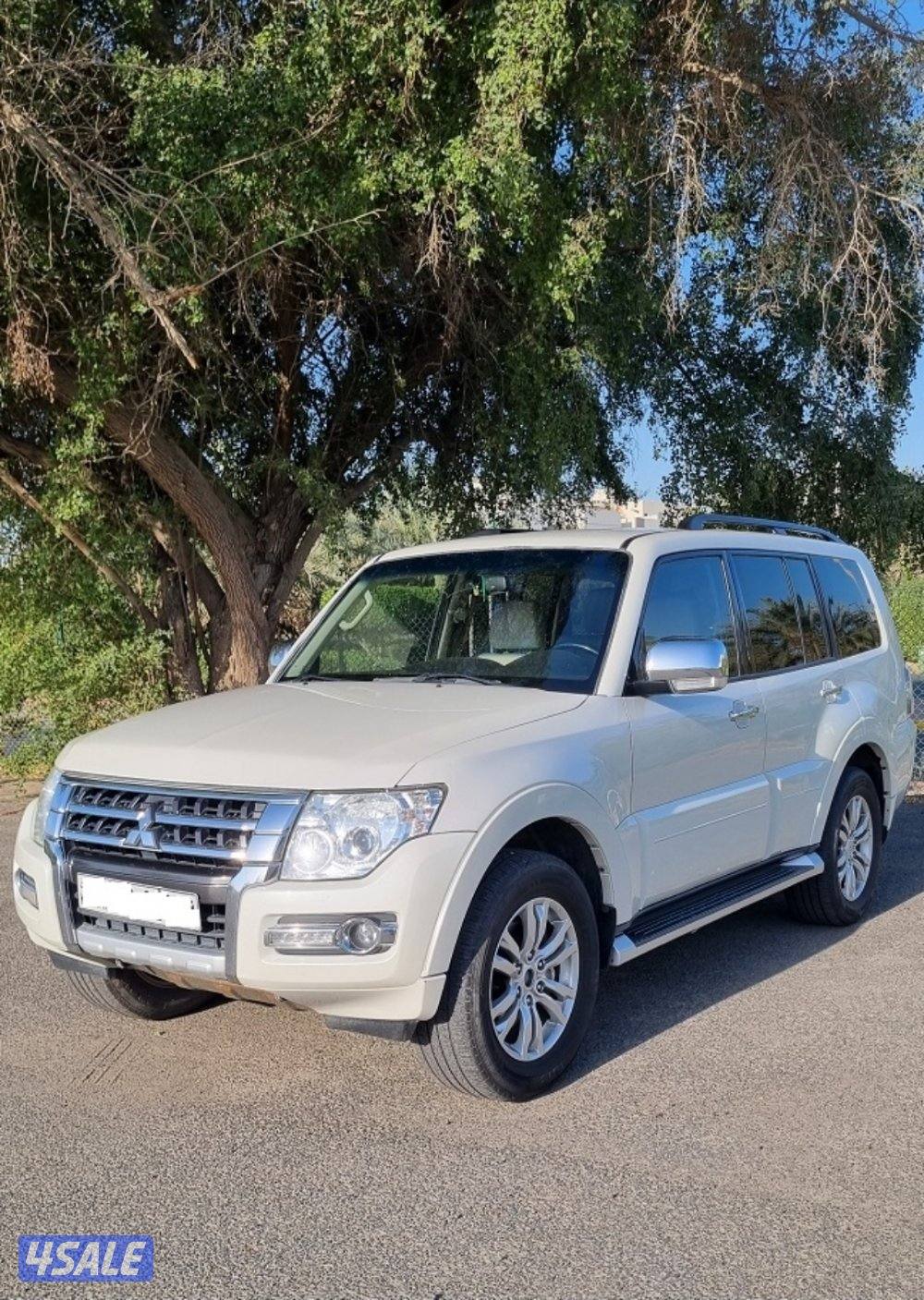 باجيرو 2019 الماكينة الكبيرة 3.8 حالة ممتازة3