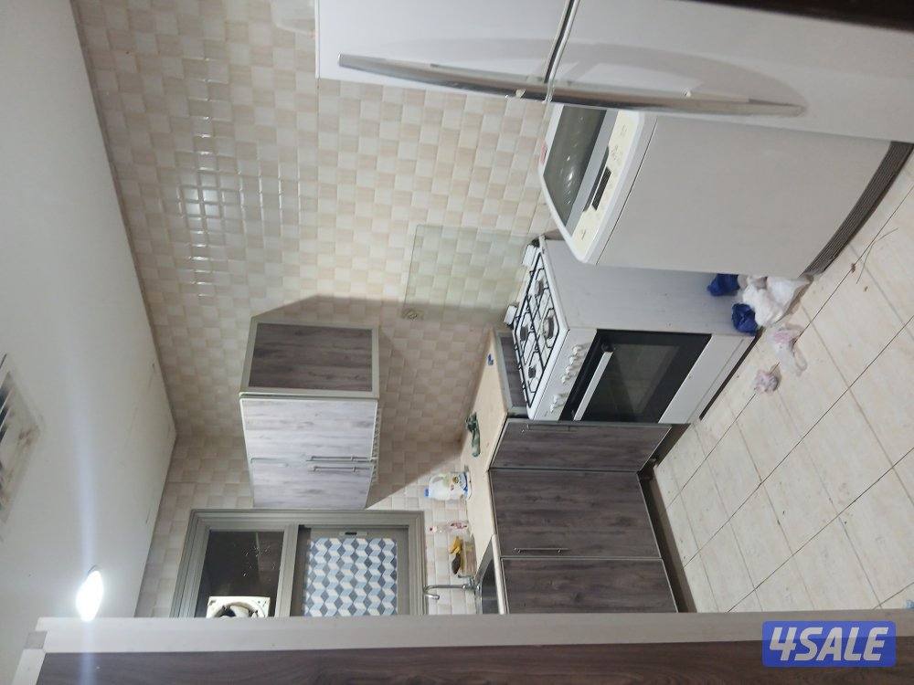 شقه للايجار5