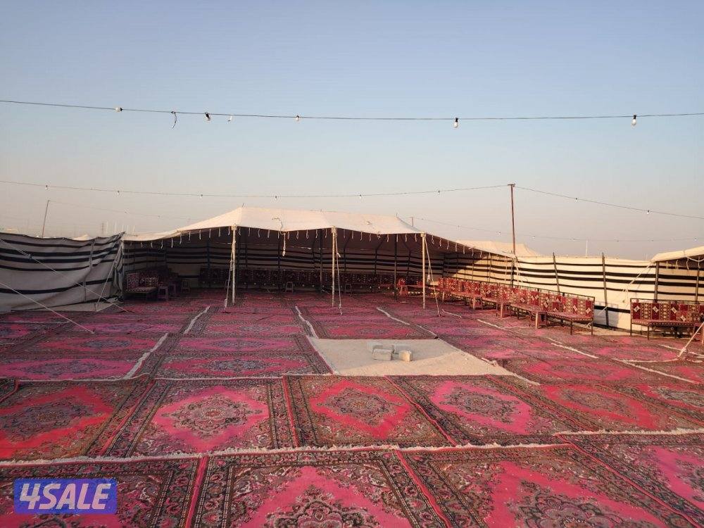 تأجير خيمة بيت شعر كوشه رجال ونساء كراسي وطاولات غنفات دفيات ضيافة رجا12