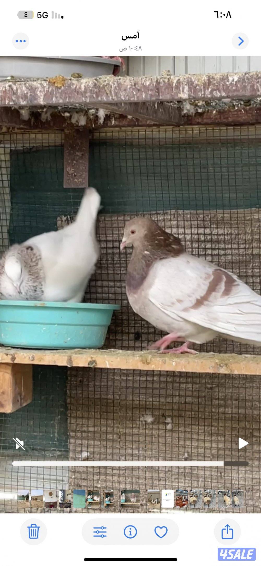 حمام تاكسن ازواج + فروخ رومي + وز كندي فروخ5