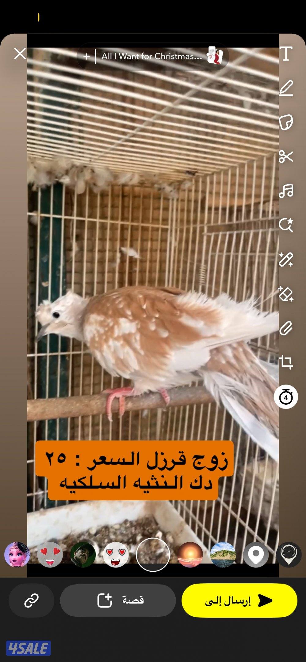 حمام تاكسن ازواج + فروخ رومي + وز كندي فروخ11