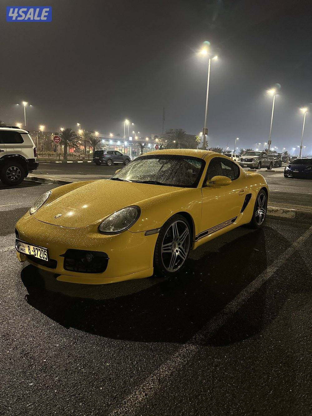 Porsche Cayman0