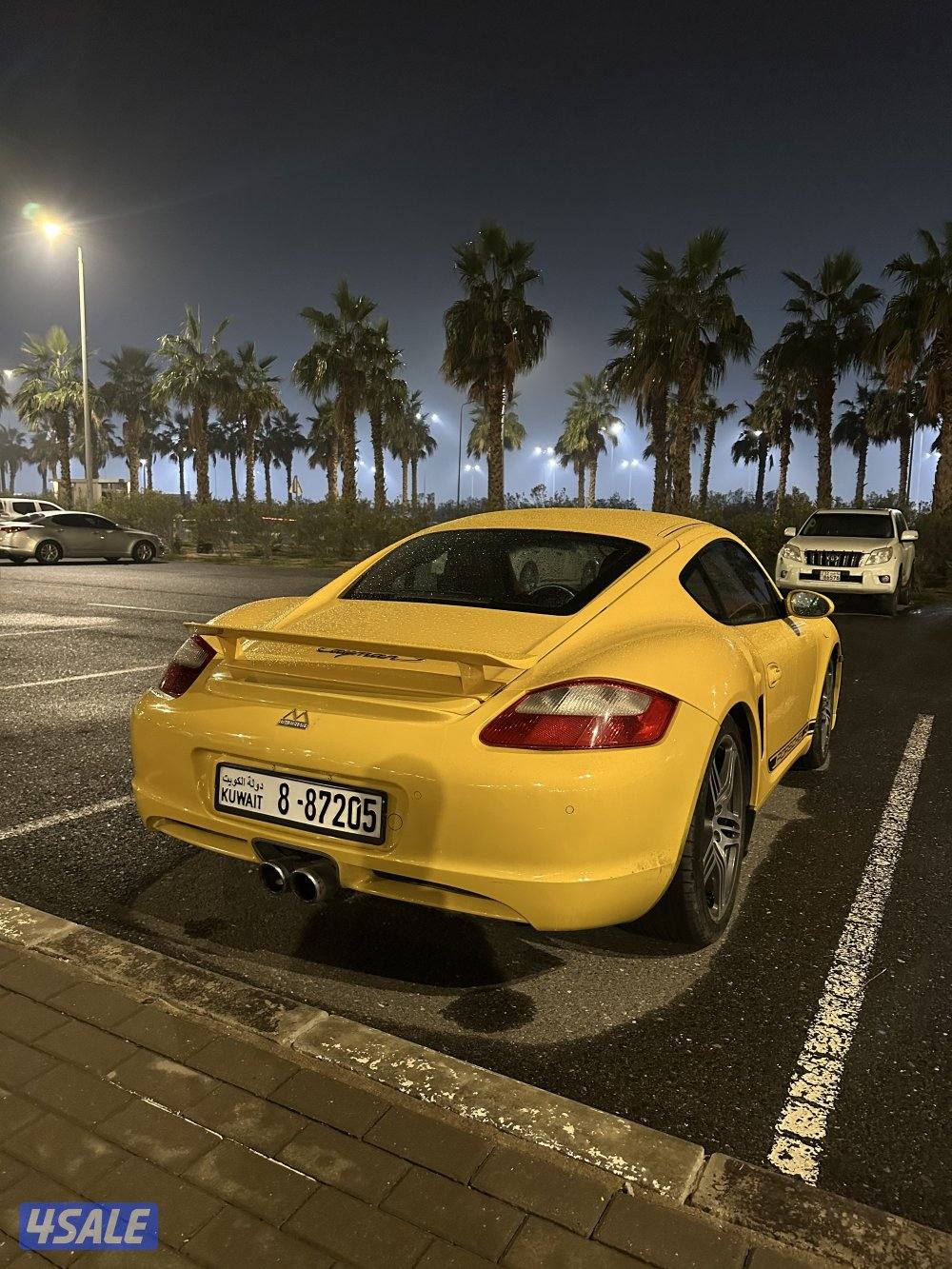 Porsche Cayman2