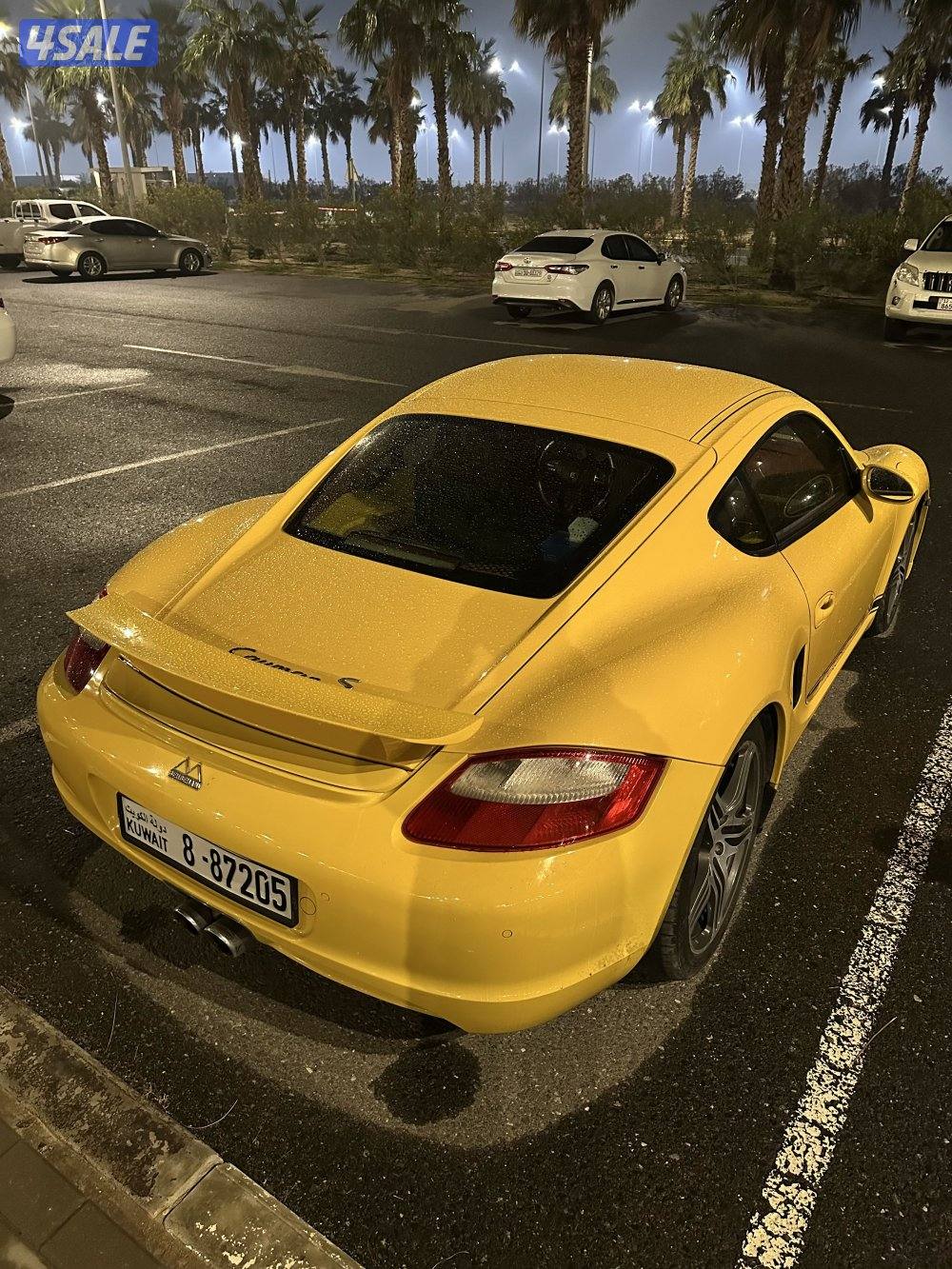 Porsche Cayman4