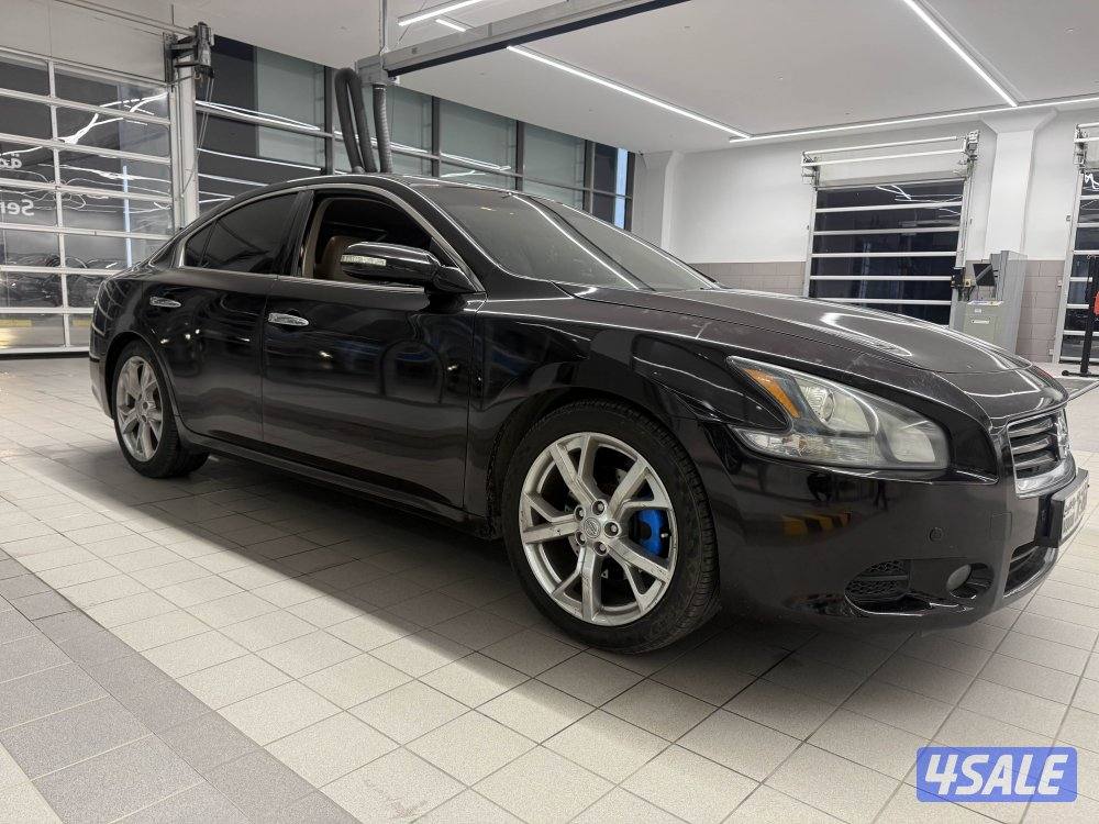 مكسيما 2012 فل اوبشن المالك الاول2