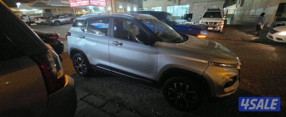 قطعة 10 شارع 133