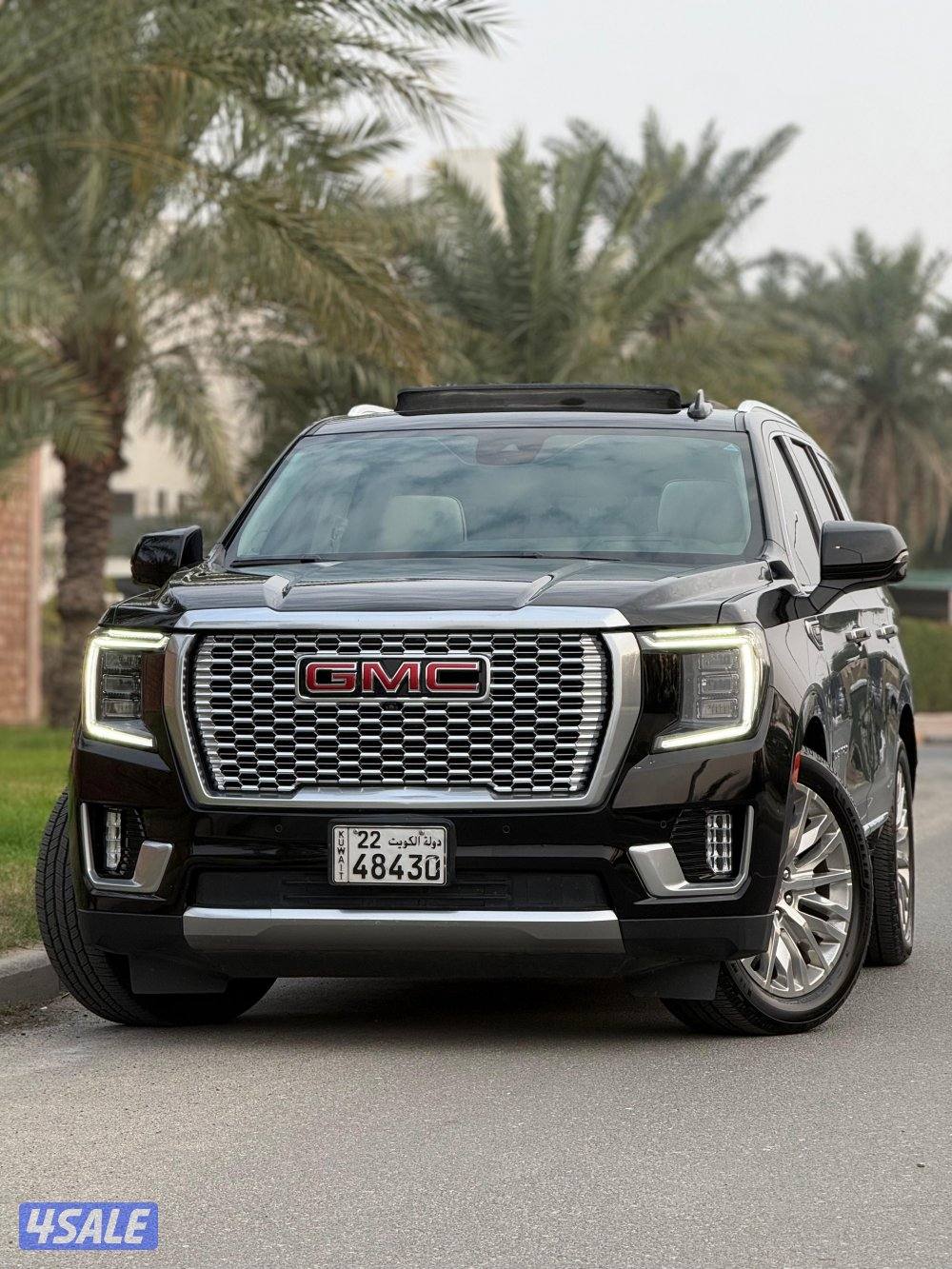 دينالي ٢٠٢٣ صبغ وكالة1