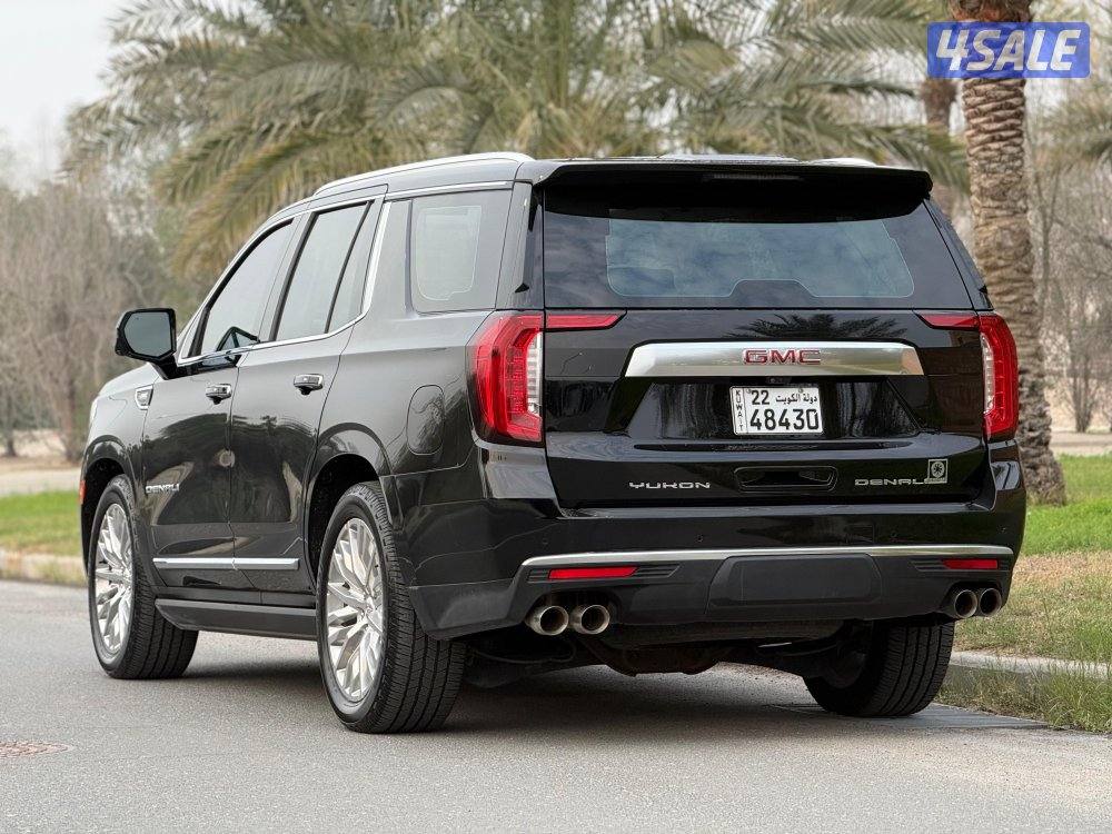 دينالي ٢٠٢٣ صبغ وكالة4