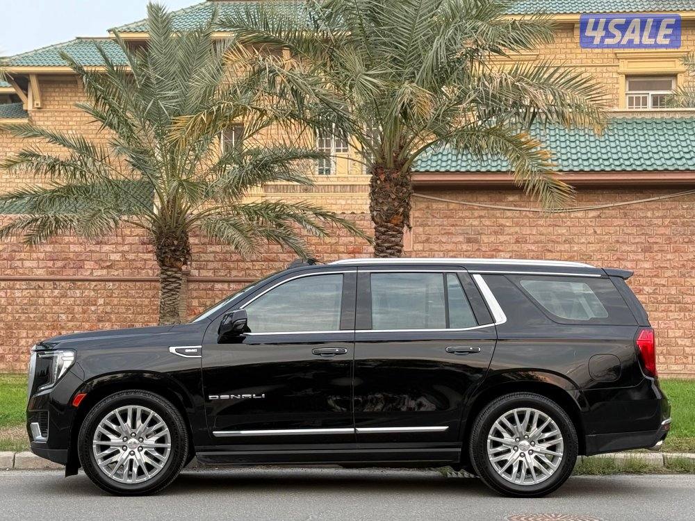 دينالي ٢٠٢٣ صبغ وكالة7