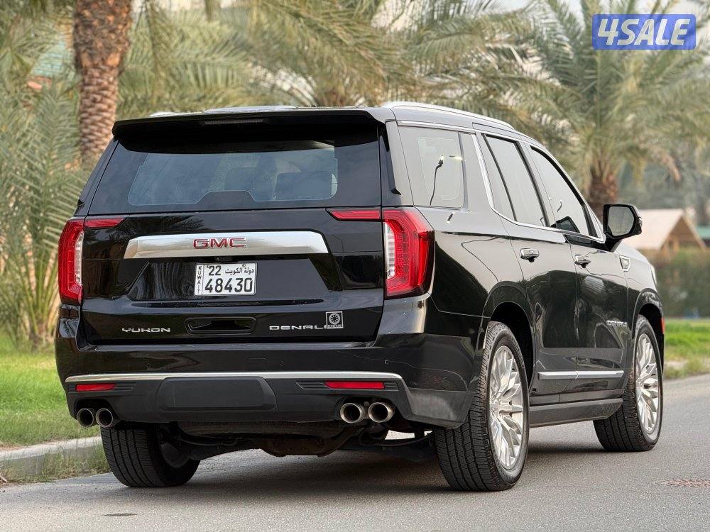 دينالي ٢٠٢٣ صبغ وكالة6