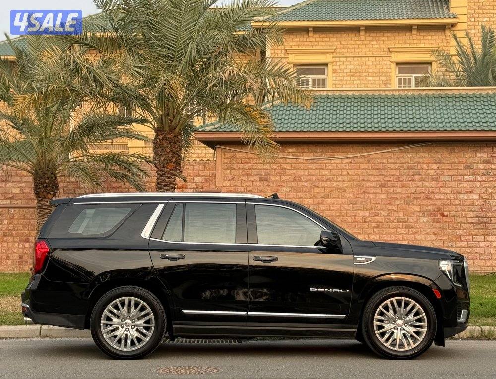 دينالي ٢٠٢٣ صبغ وكالة8