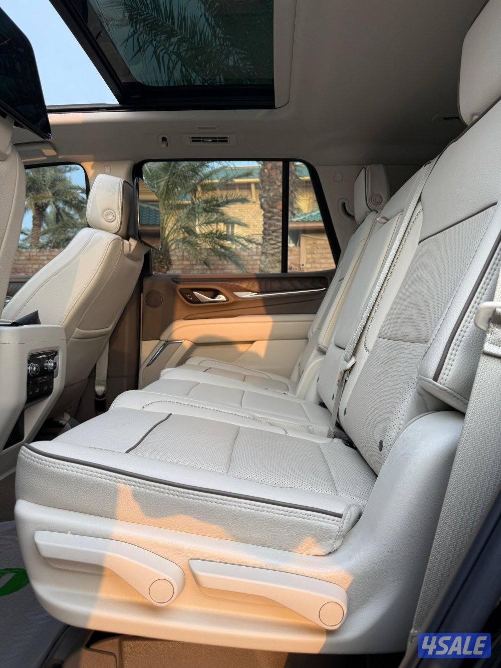 دينالي ٢٠٢٣ صبغ وكالة11