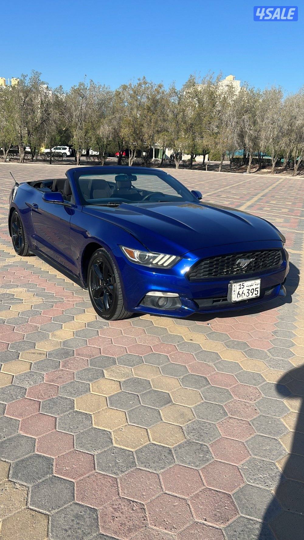 للبيع موستنج0