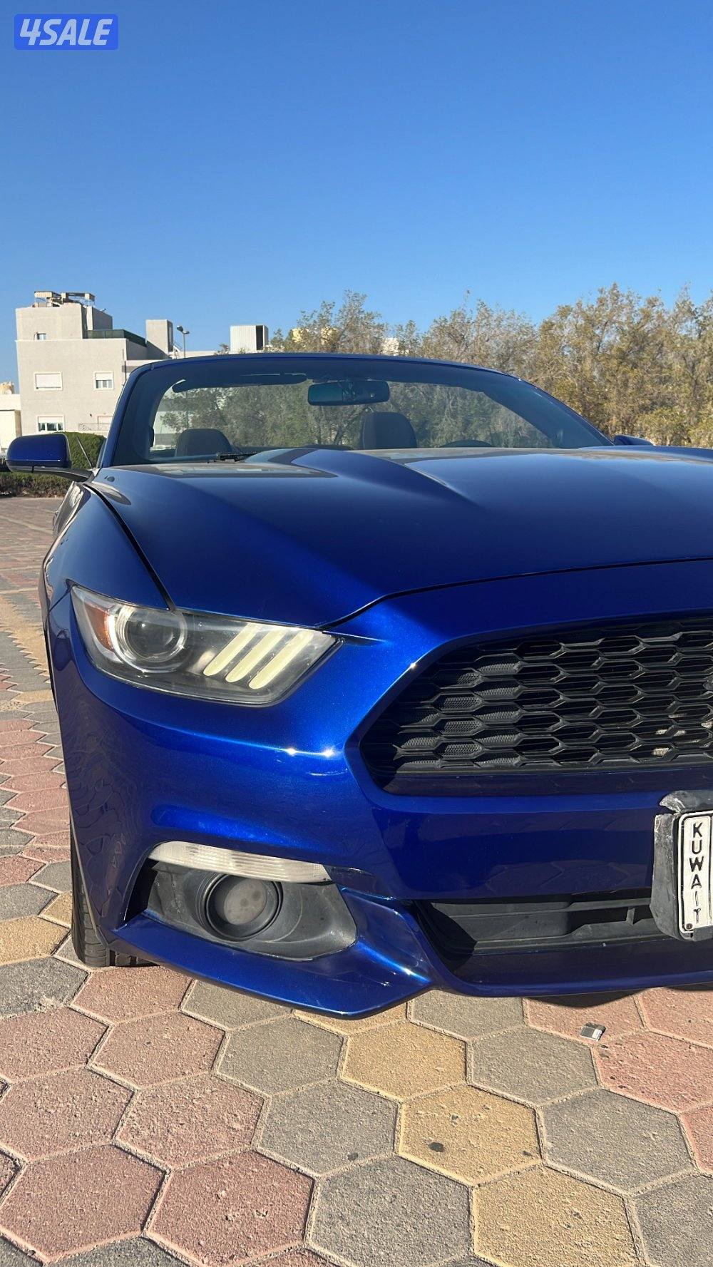 للبيع موستنج11