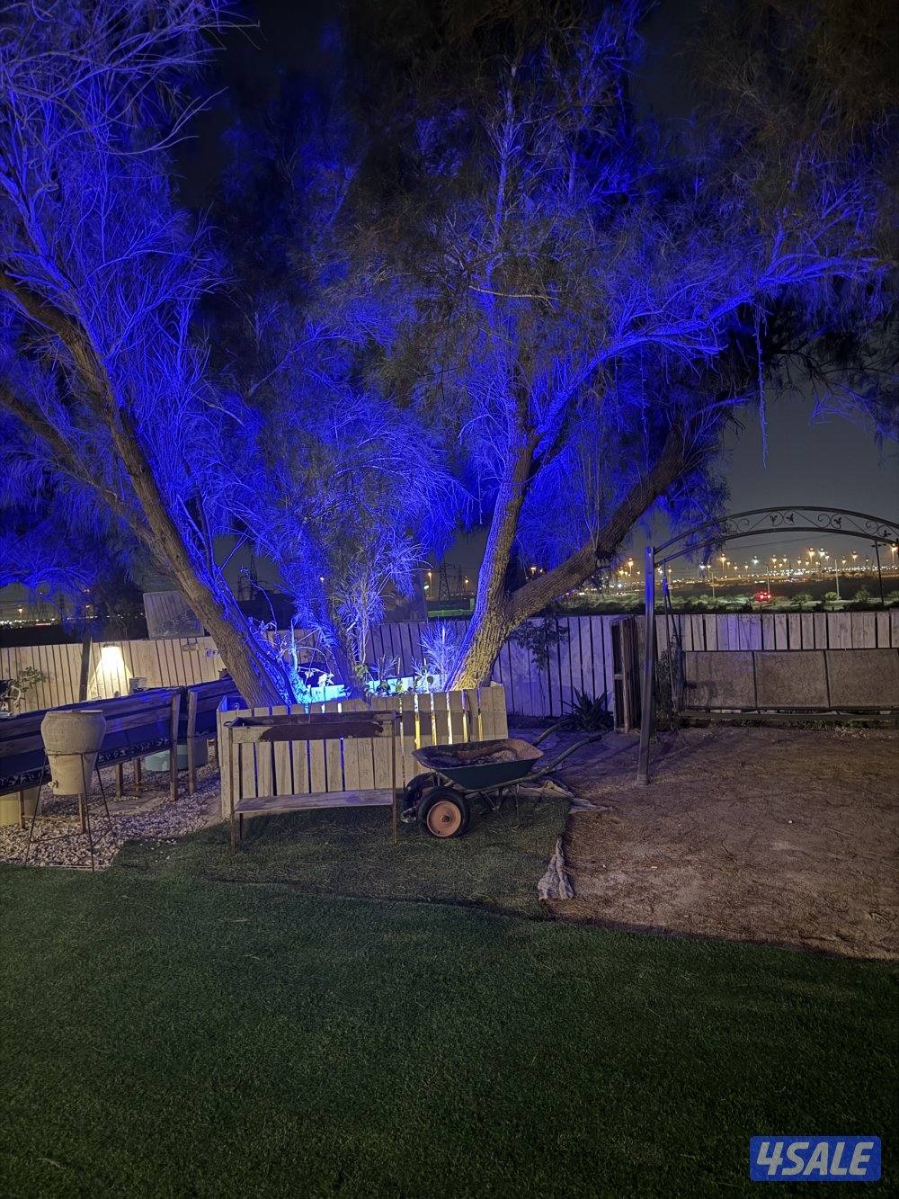 للايجار كشته مقابل ام الهيمان4