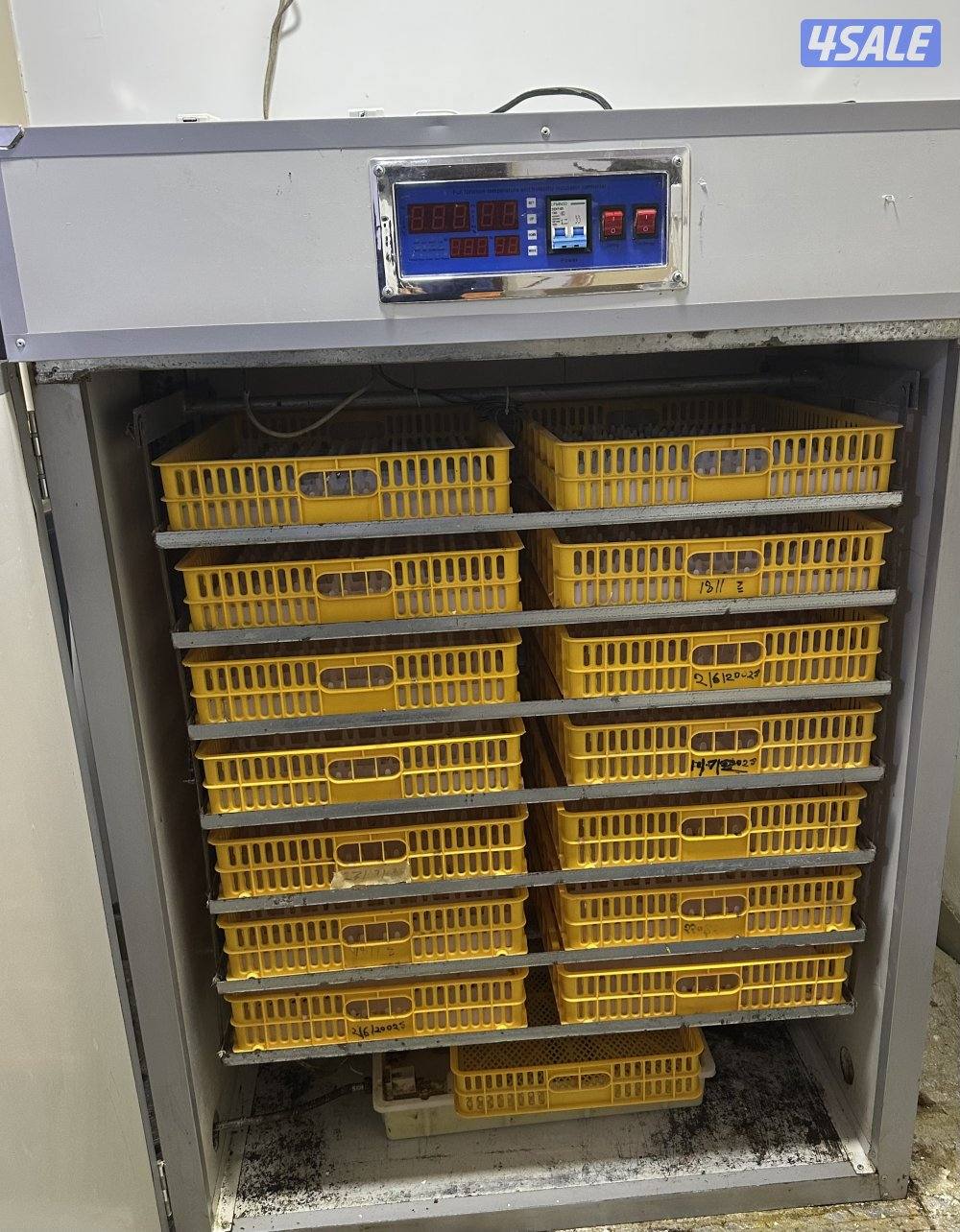 للبيع فقاسه الرابطه 1232 بيضه1