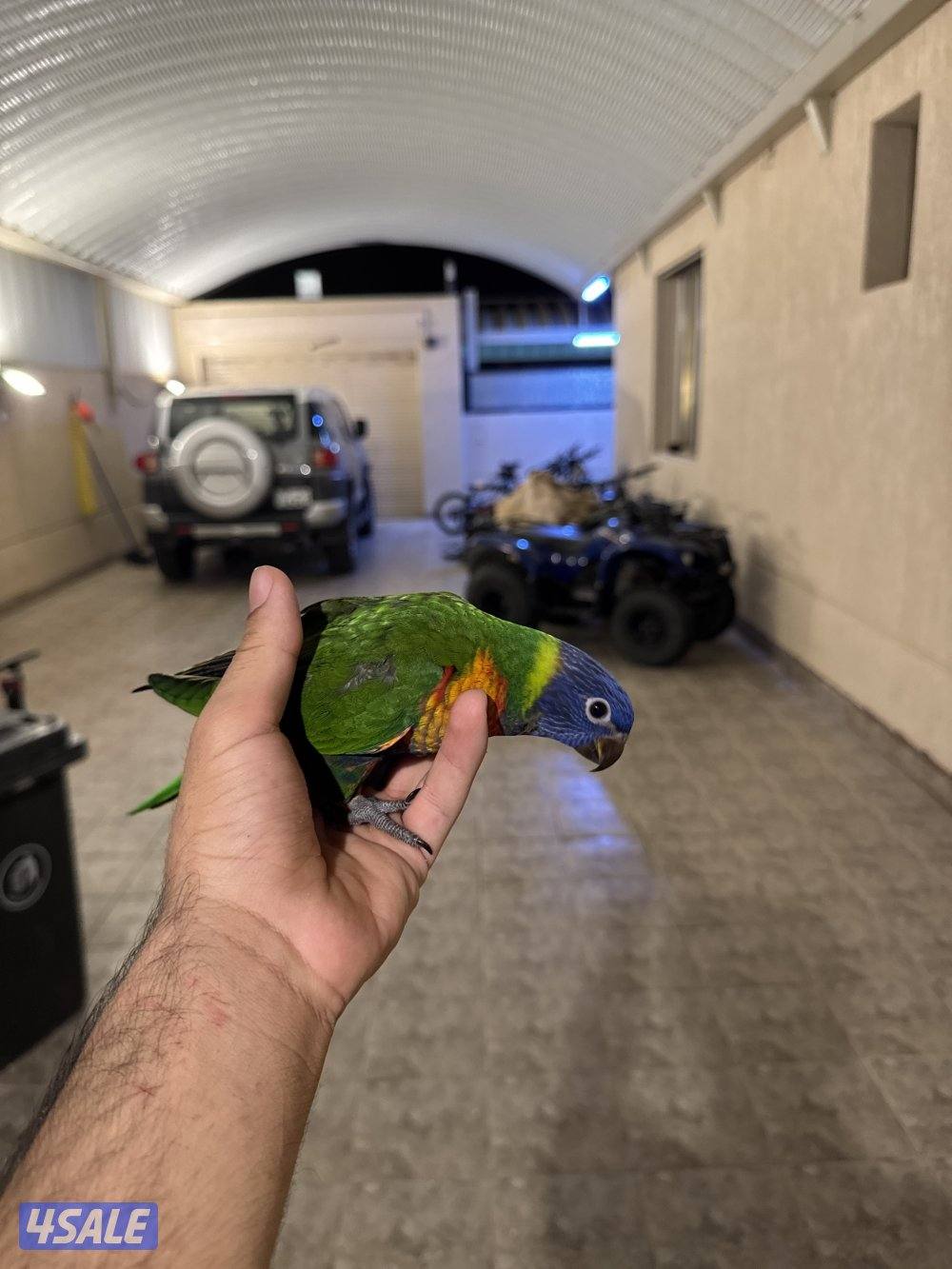 للبيع لوري ربوه3