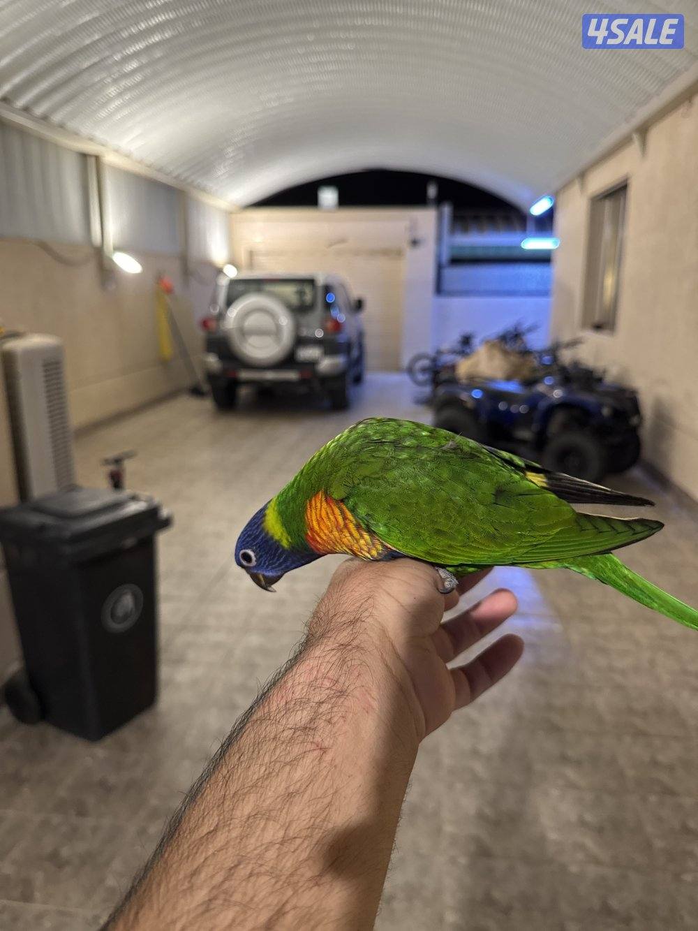 للبيع لوري ربوه4