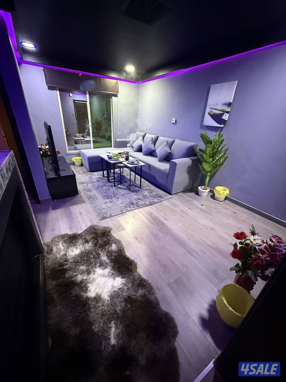 يوجد لدينا شقق الايجار خلو وفاضي نفس الصورة موجودة في موقع1