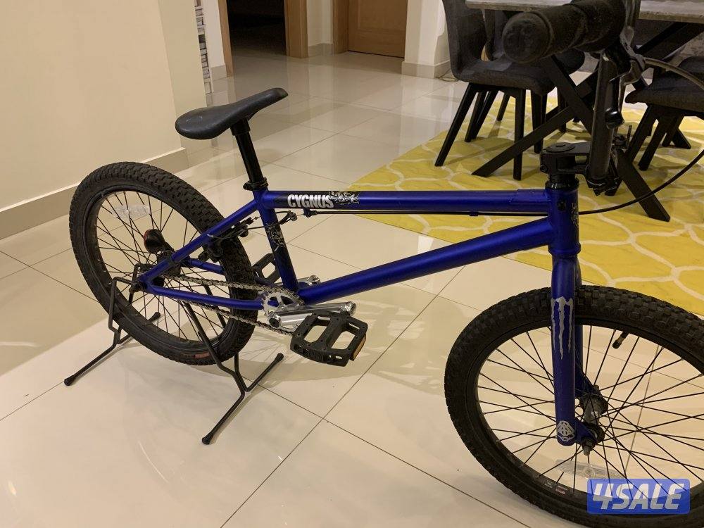 Bmx dk cygnus2