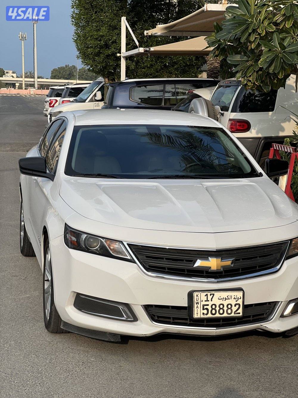 شفر امبالا ٢٠١٩ اللون ابيضّ سيارة نظيفة0