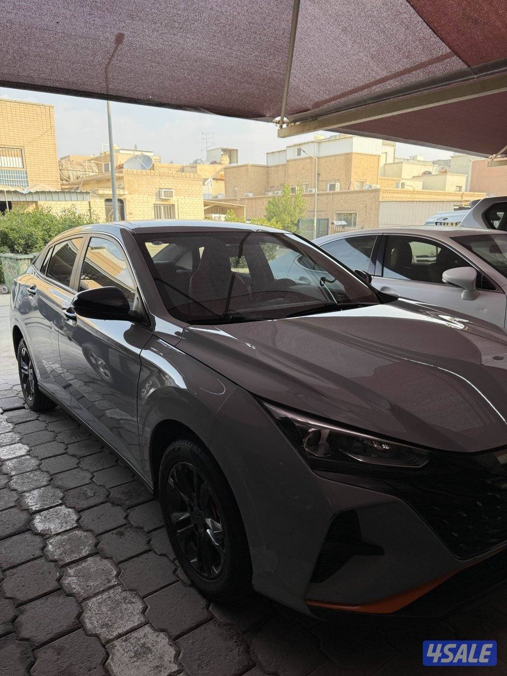 دي اف ام موديل 20242