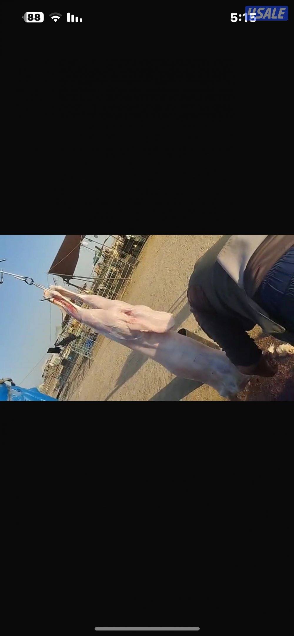 صباح الاحمد3