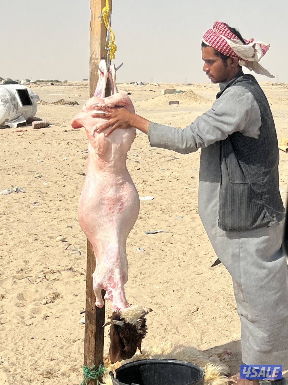 صباح الاحمد4