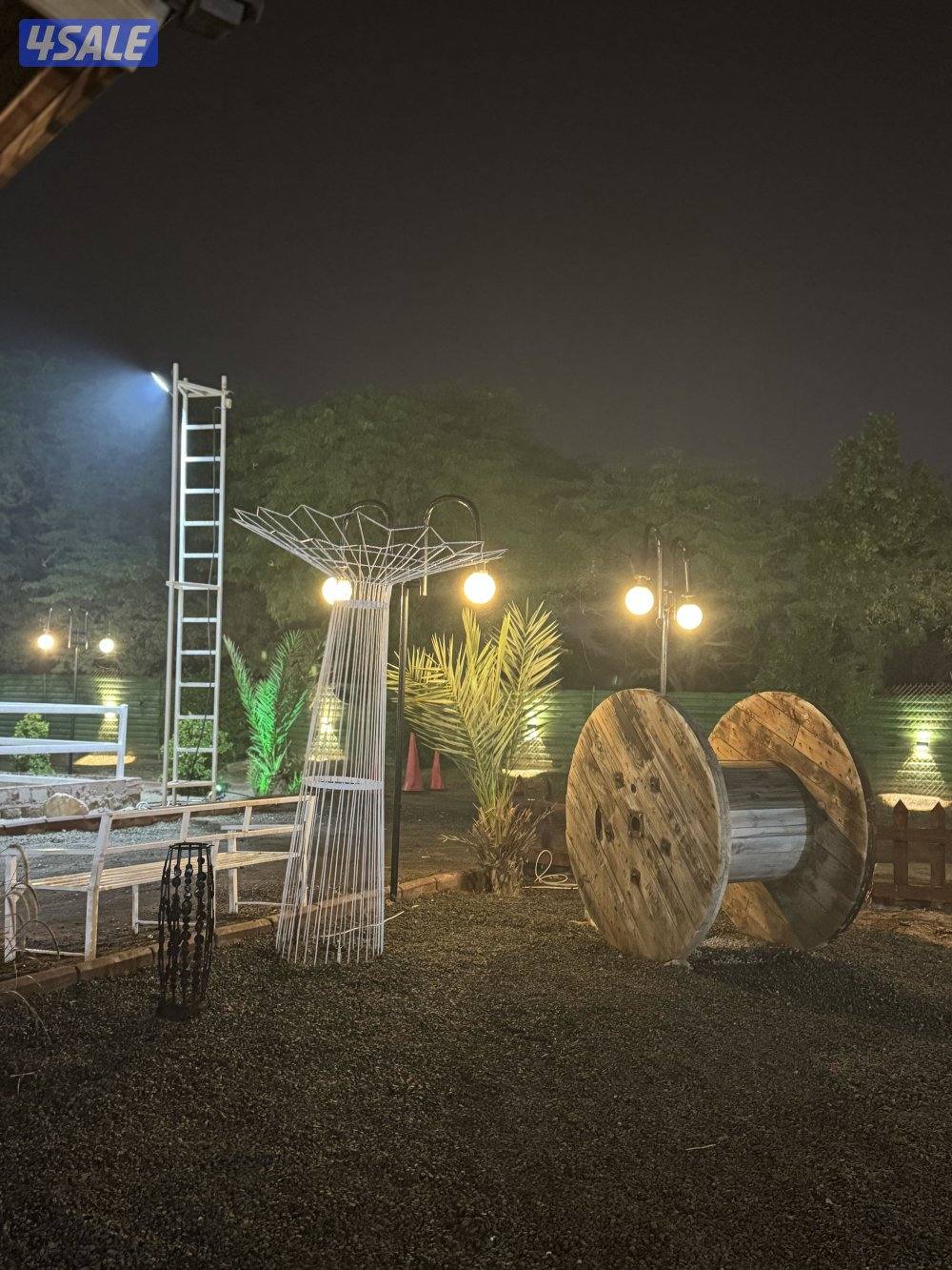 مربط وتدريب ركوب13