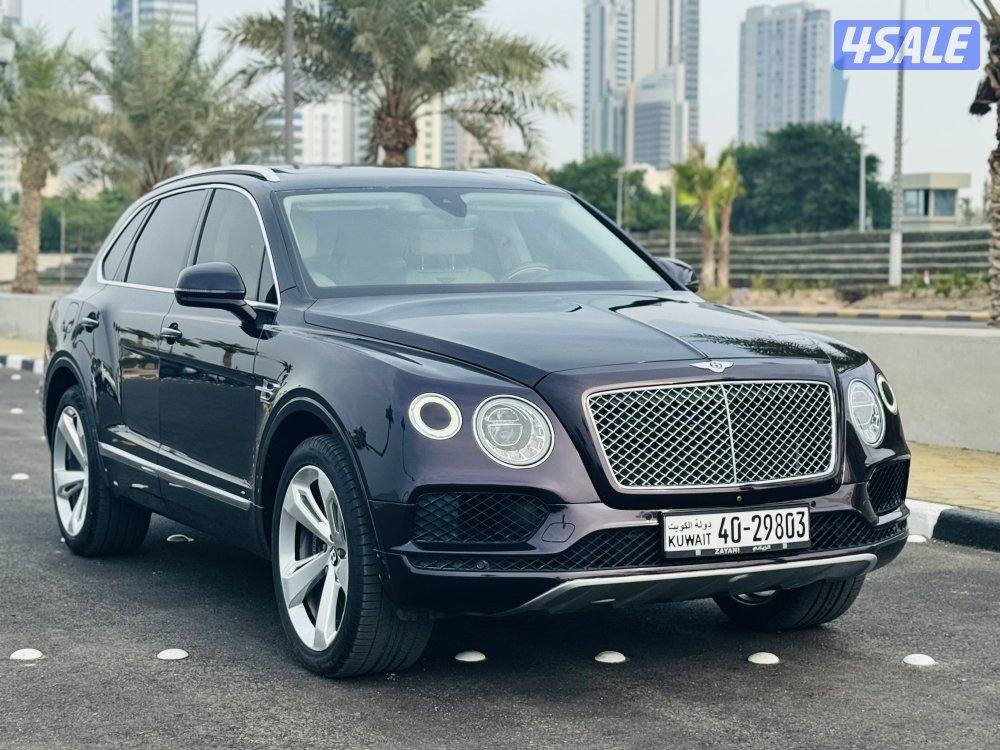 بنتايجا 2017 الزياني V120