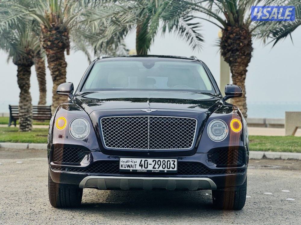 بنتايجا 2017 الزياني V121