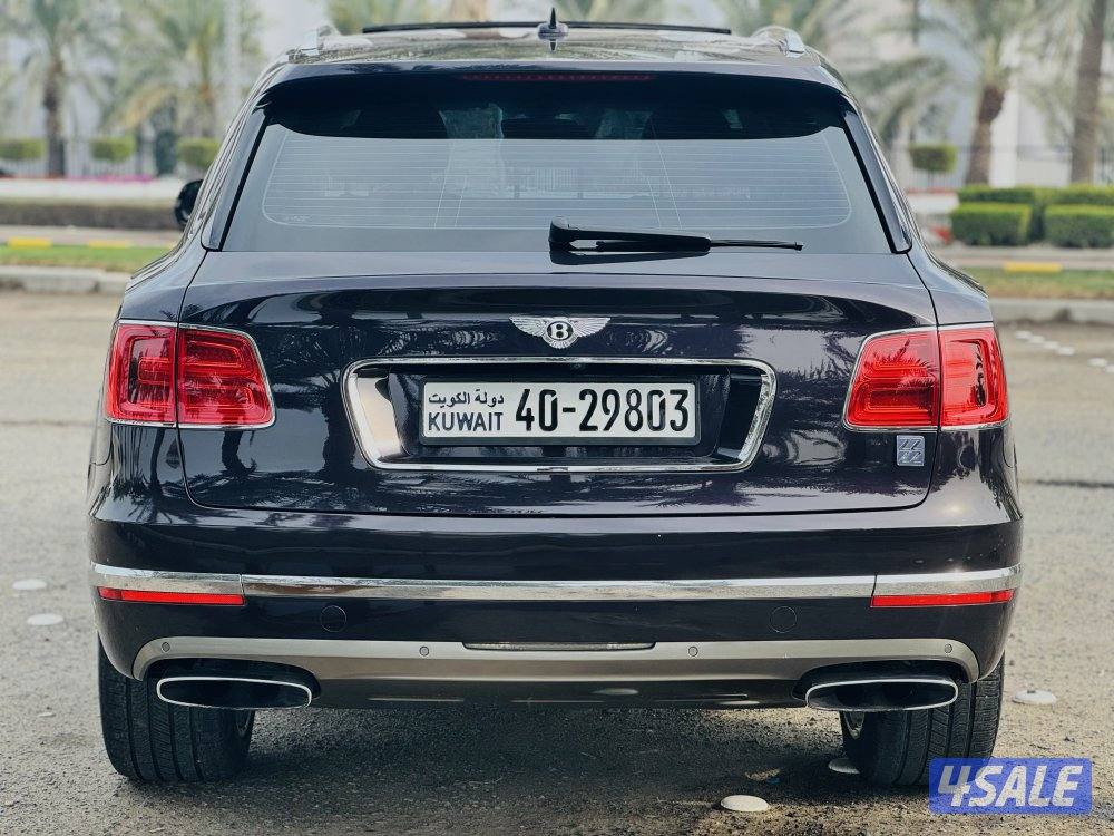 بنتايجا 2017 الزياني V123