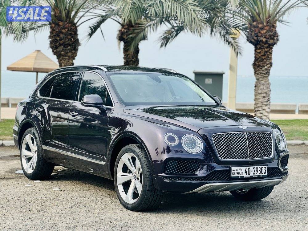 بنتايجا 2017 الزياني V124