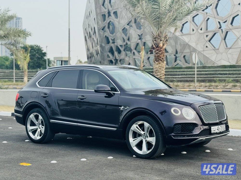 بنتايجا 2017 الزياني V125