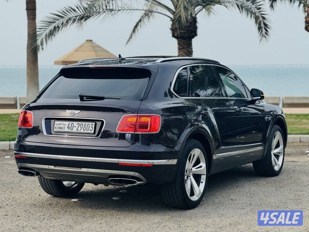 بنتايجا 2017 الزياني V126