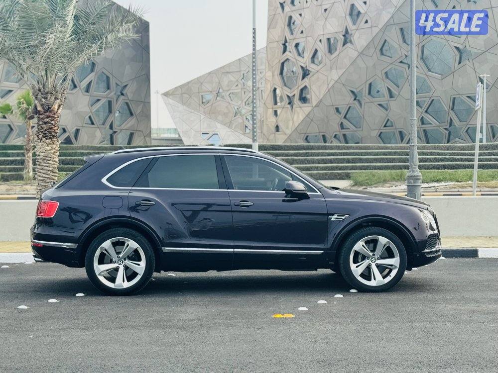 بنتايجا 2017 الزياني V127