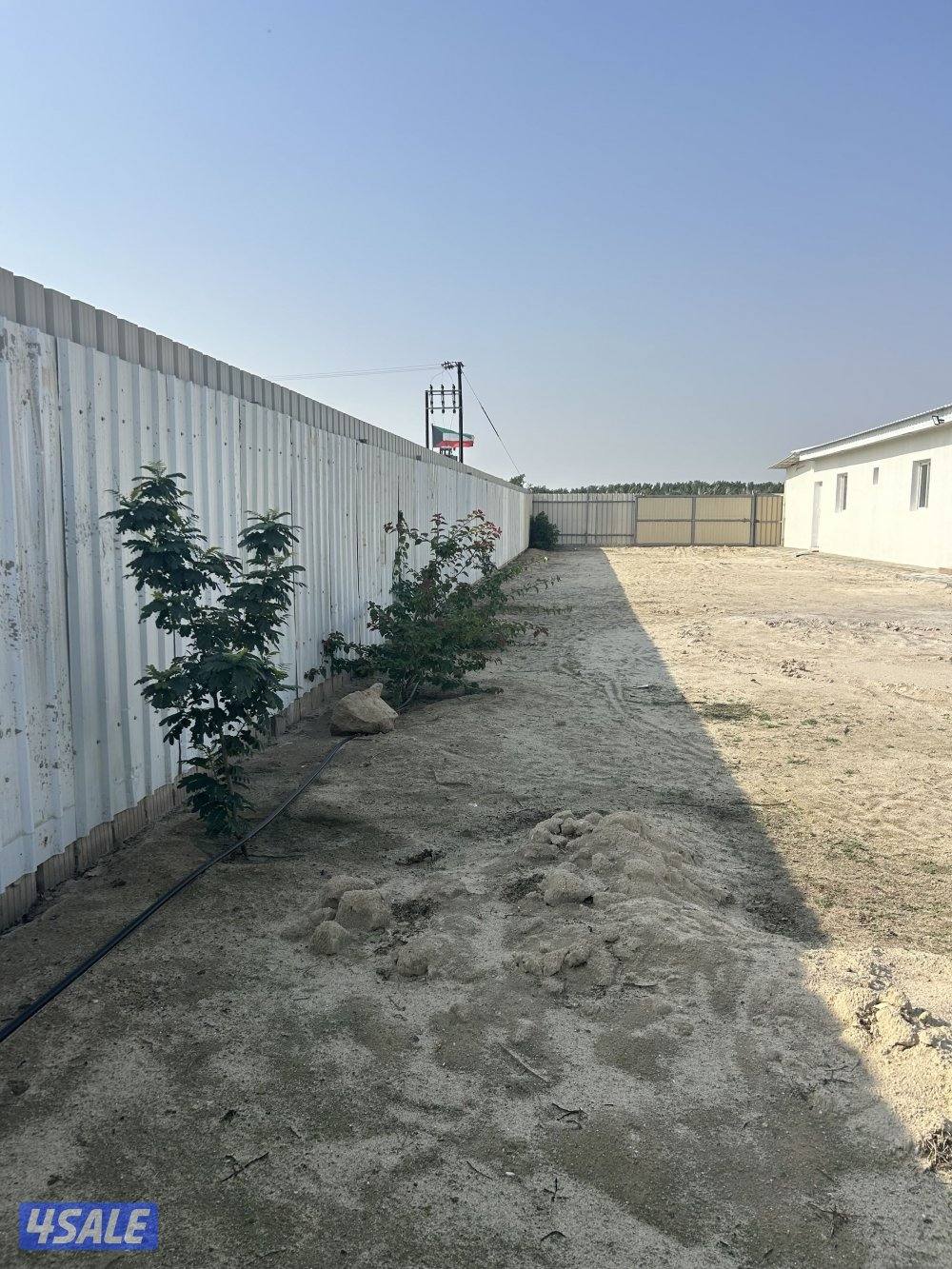 منتزه في مزارع الوفرة أجار يومي5