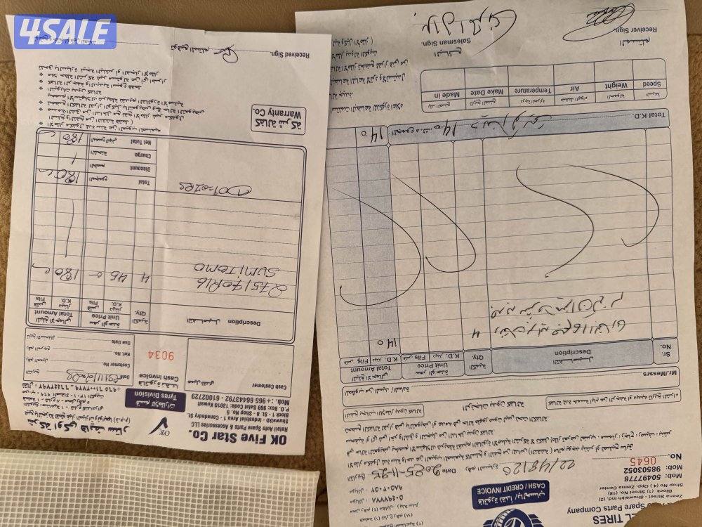 للبيع شواهين مع برايد2