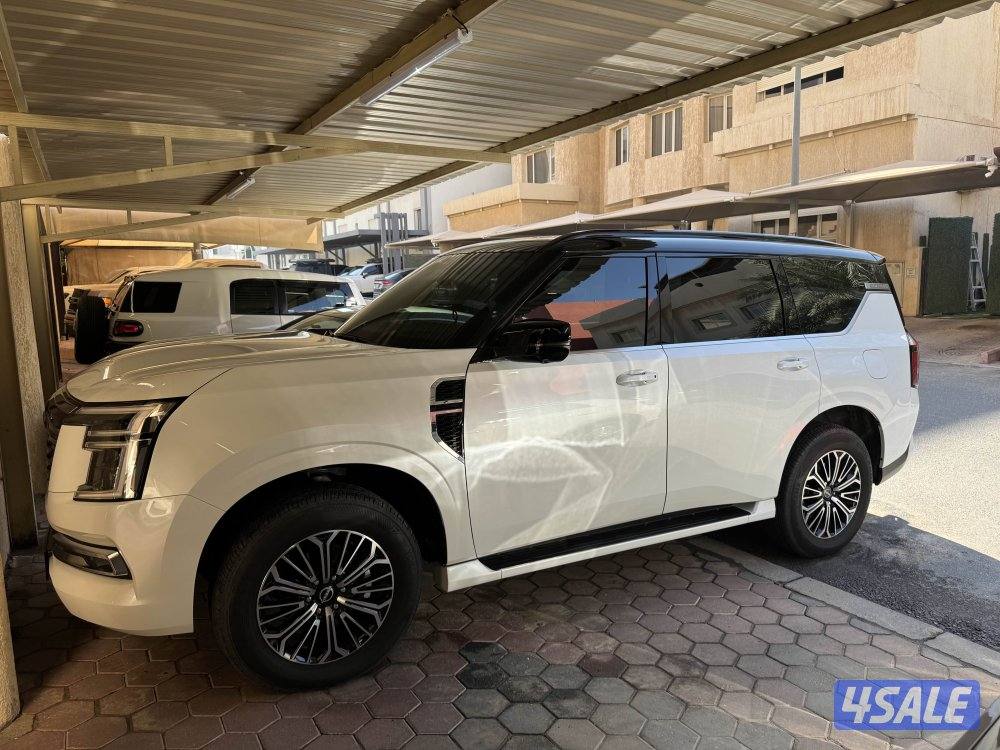 بلاتينوم 20261