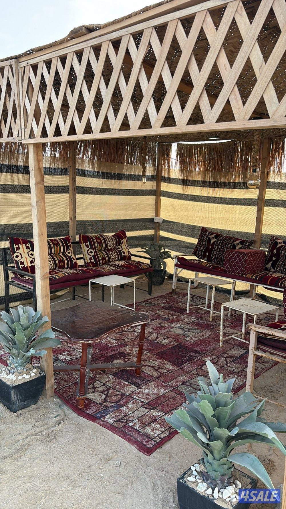 حياكم الله في مخيم ضي القمر 🌖 .. نحن الأفضل ..لأن التميز خيارنا 😎5