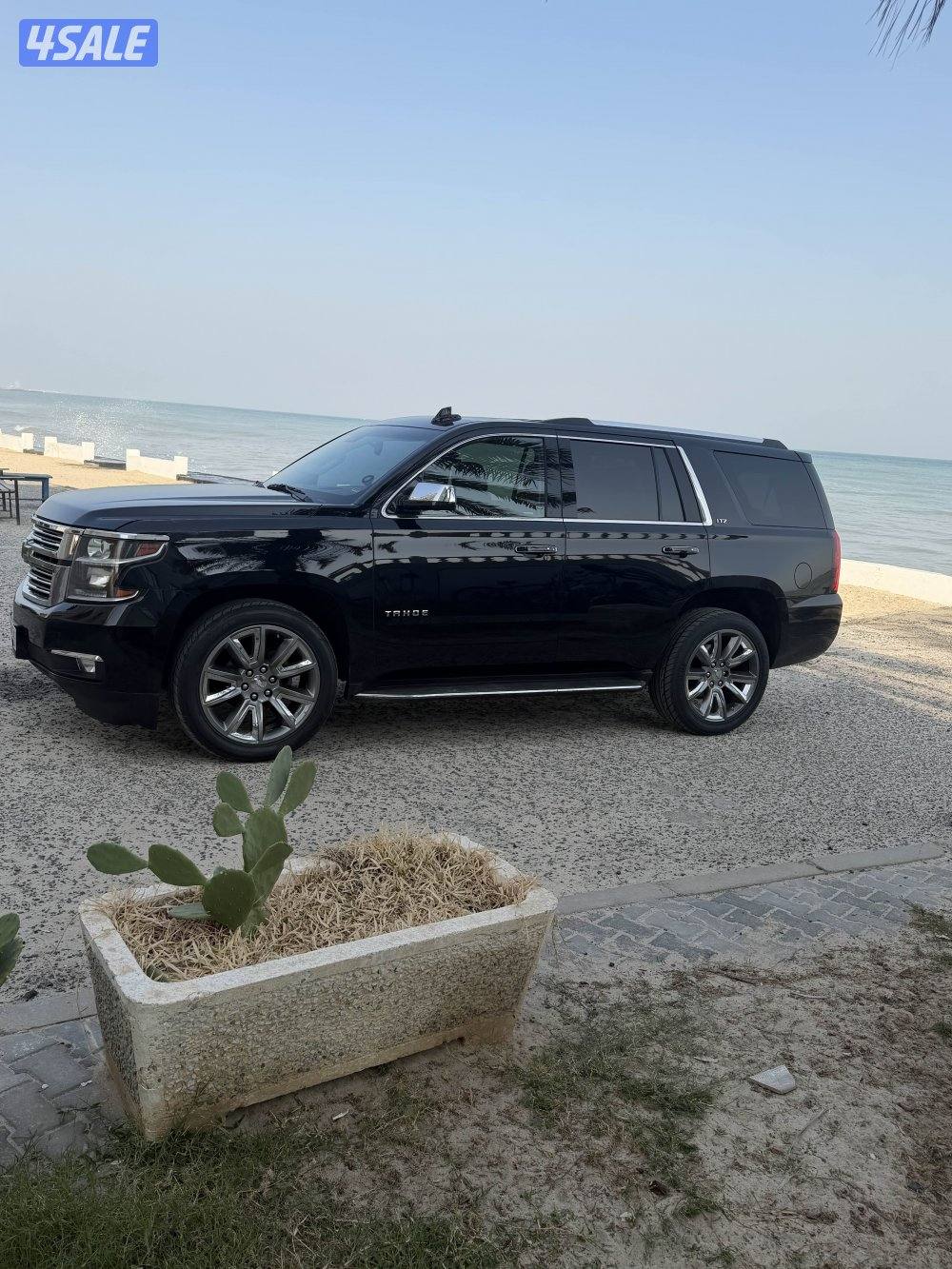 الرجاء قرائة الاعلان كامل قبل الاتصال4