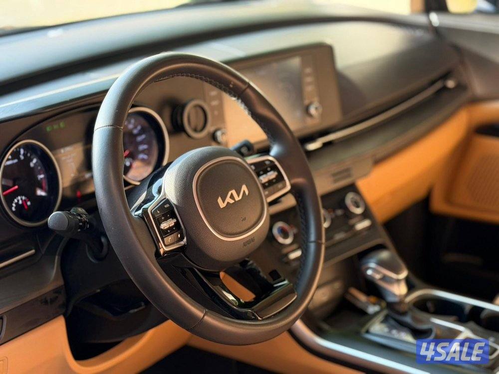 كرنفال كيا صبغ الوكالة تحت الكفالة 20234