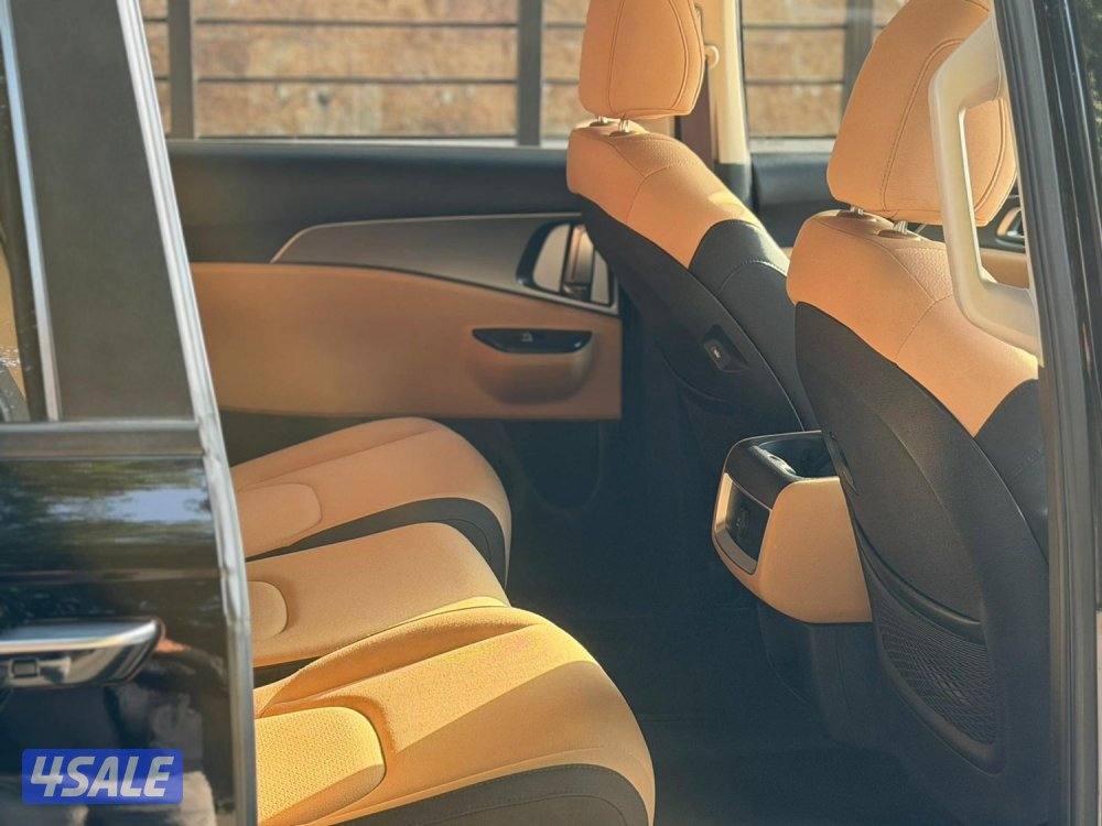 كرنفال كيا صبغ الوكالة تحت الكفالة 20235