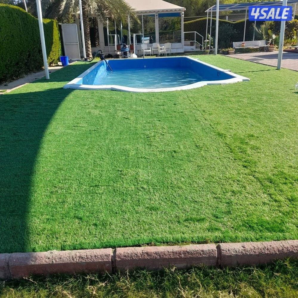 سجاد موكيت مساند ضهر نقشات حفر يدوي يدوي9