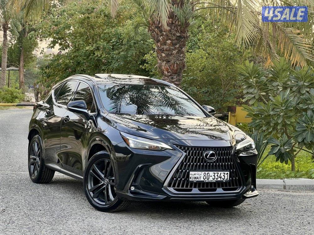 البيع بحاله الوكاله1